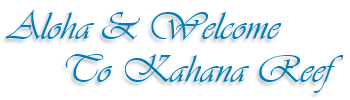 Welcome to Kahana Reef