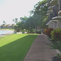 Kahana Reef
